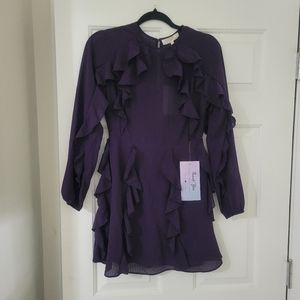 Plum Ruffle Dress